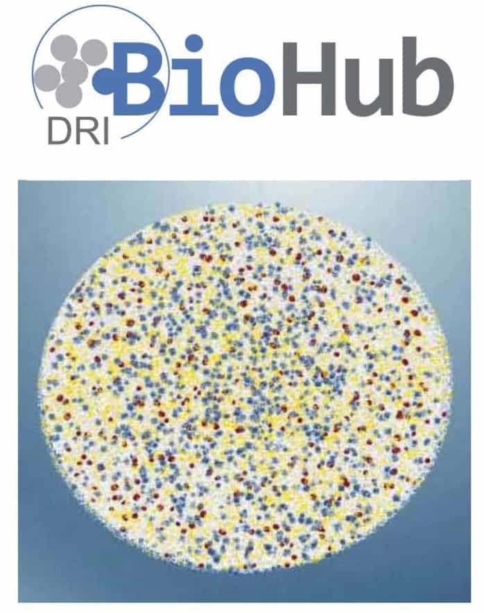 DRI BioHub Biological Cure for Diabetes