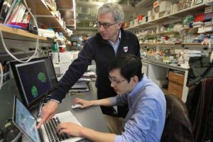 Doug Melton and research assistant Peng Yi at Harvard