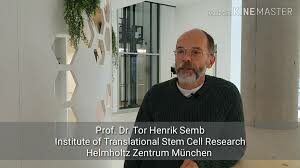 Prof. Henrik Semb explains New Research Generates Insulin Producing Cells