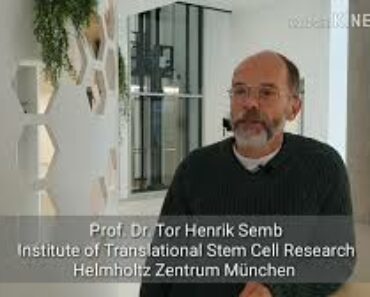 Prof. Henrik Semb explains New Research Generates Insulin Producing Cells