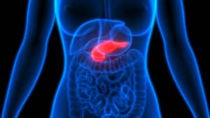Implantable Micro-Pancreas