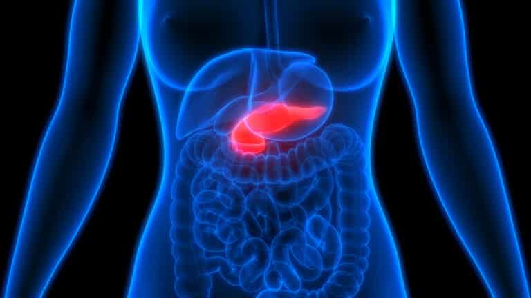 Implantable Micro Pancreas by Betalin Therapeutics