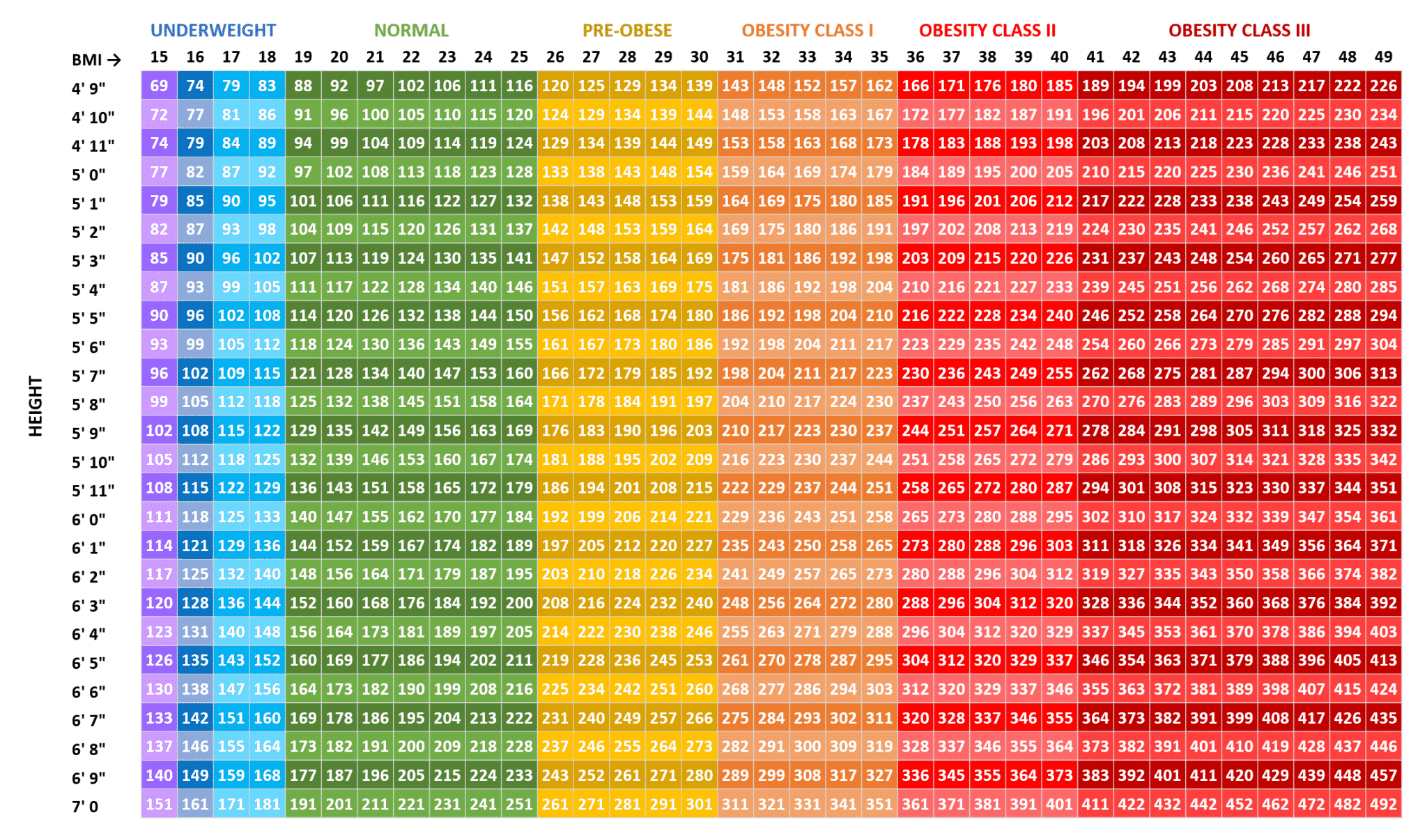 bmi calculator for anorexic women