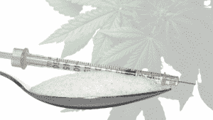 THC effect of CBD on Type 2 Diabetes: Risks and Benefits