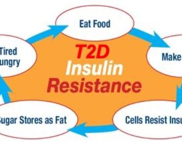 T2D Insulin Resistance