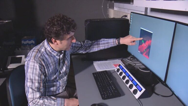 Colorado Researchers Working Toward A Cure For Type 1 Diabetes