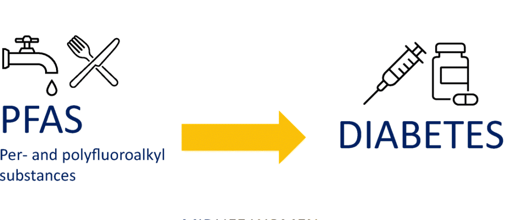 PFAS Exposure and Diabetes - Exploring the Risk in High-Exposure Communities