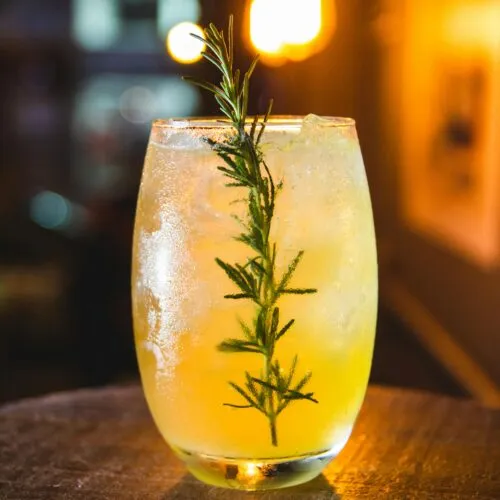 Fizzy Rosemary Cider Mocktail