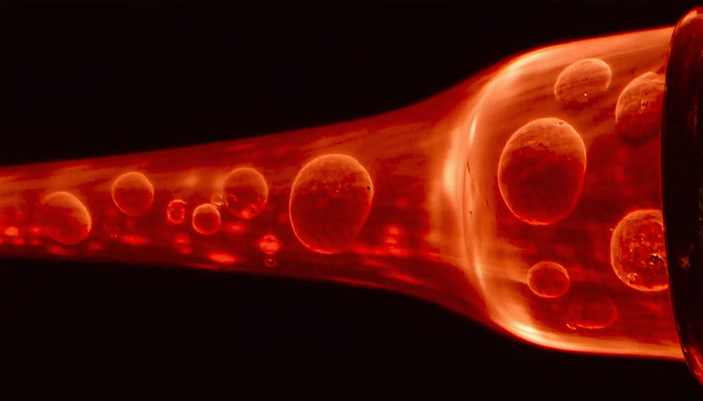 Impact of Plasma Donation
