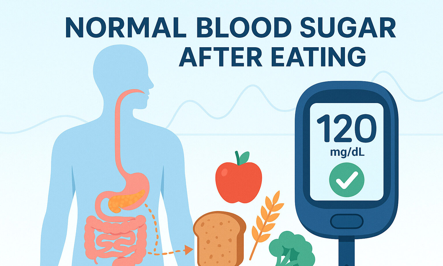Normal Blood Sugar After Eating