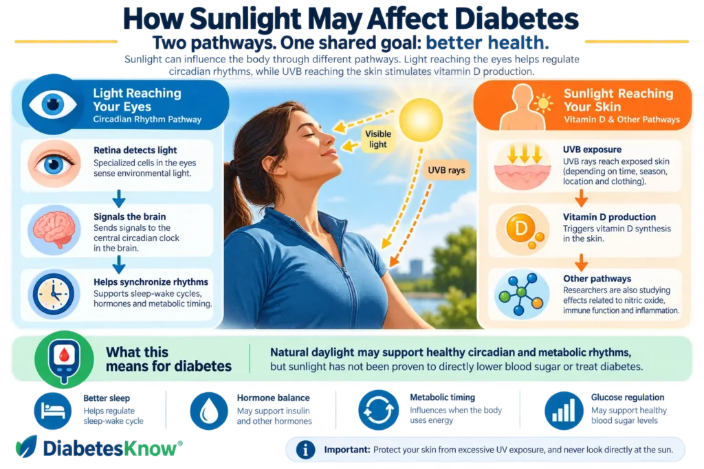 How sunlight may affect diabetes through the eyes, circadian rhythm, skin and vitamin D